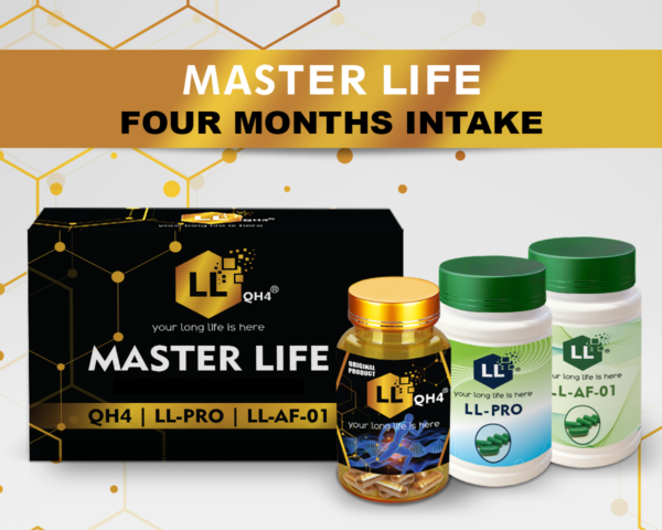Master Life Box QH-4